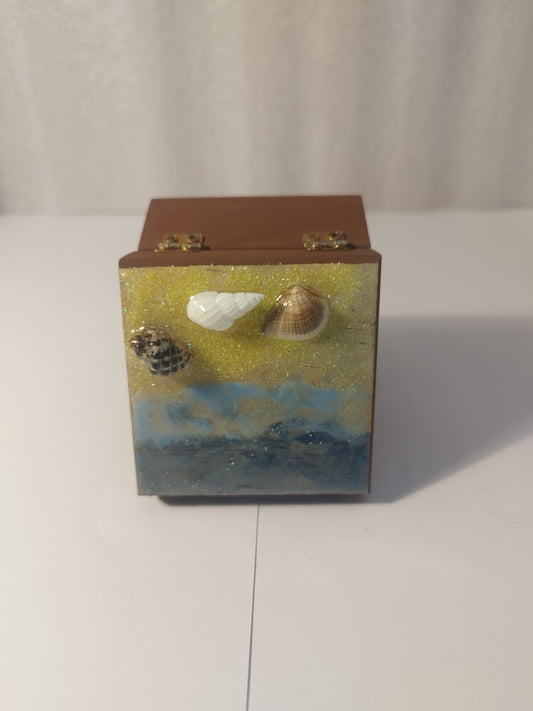 Resin shells and hand painted jewellery box